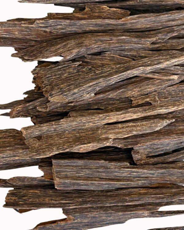 عود سيوفي مانيبور