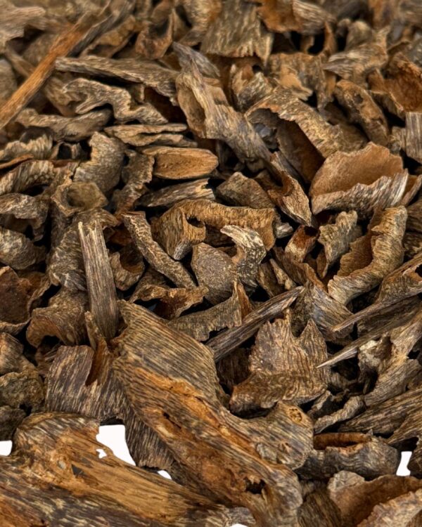 عود فيزا موري أنفال