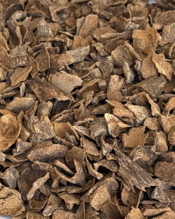 عود ميني تراد