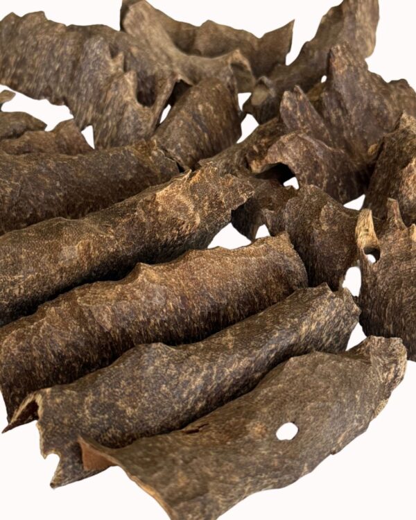 الرئيسية عود بوتان