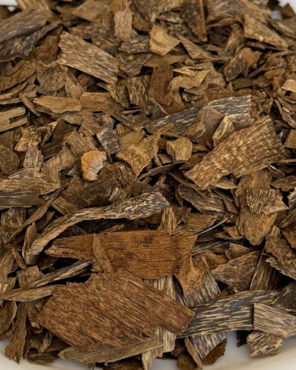 الرئيسية auto draft