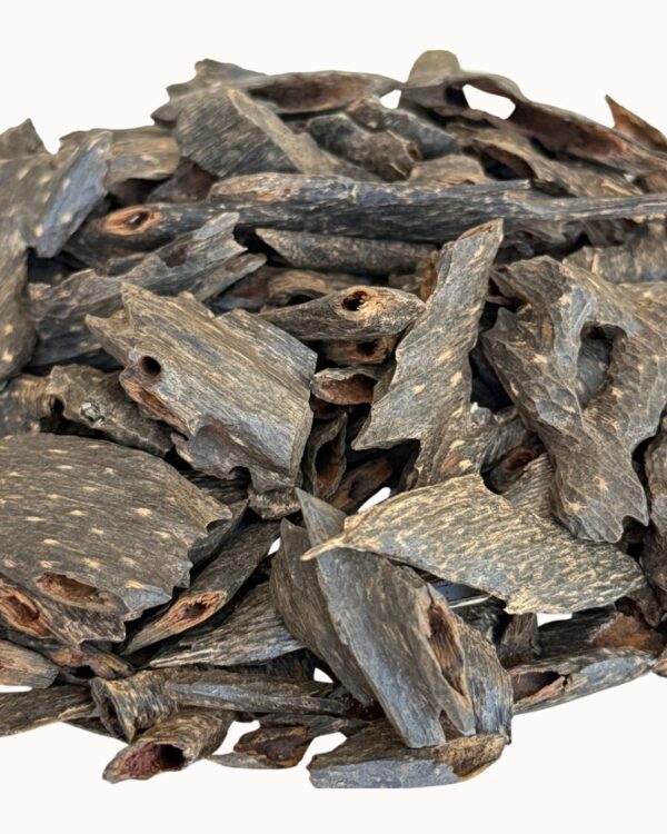 عود بنجالي فخم